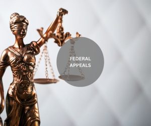 FEDERAL APPEALS LAWYER IN PHILADELPHIA